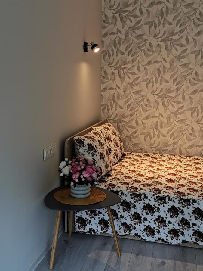 Biržai Upes Apartamentai מראה חיצוני תמונה