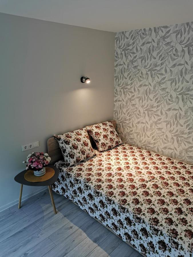 Biržai Upes Apartamentai מראה חיצוני תמונה
