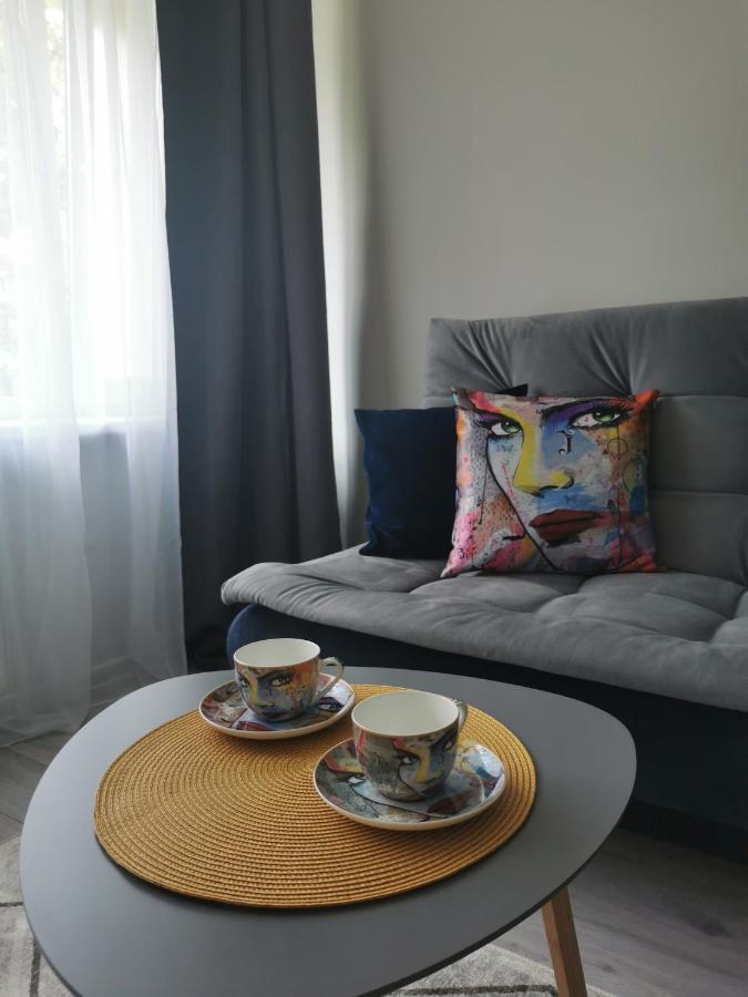 Biržai Upes Apartamentai מראה חיצוני תמונה
